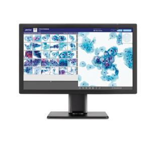 Monitor showing x-rays on white background